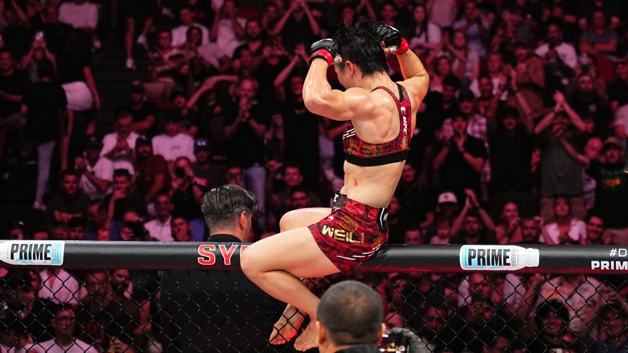 多点开花 多点开花